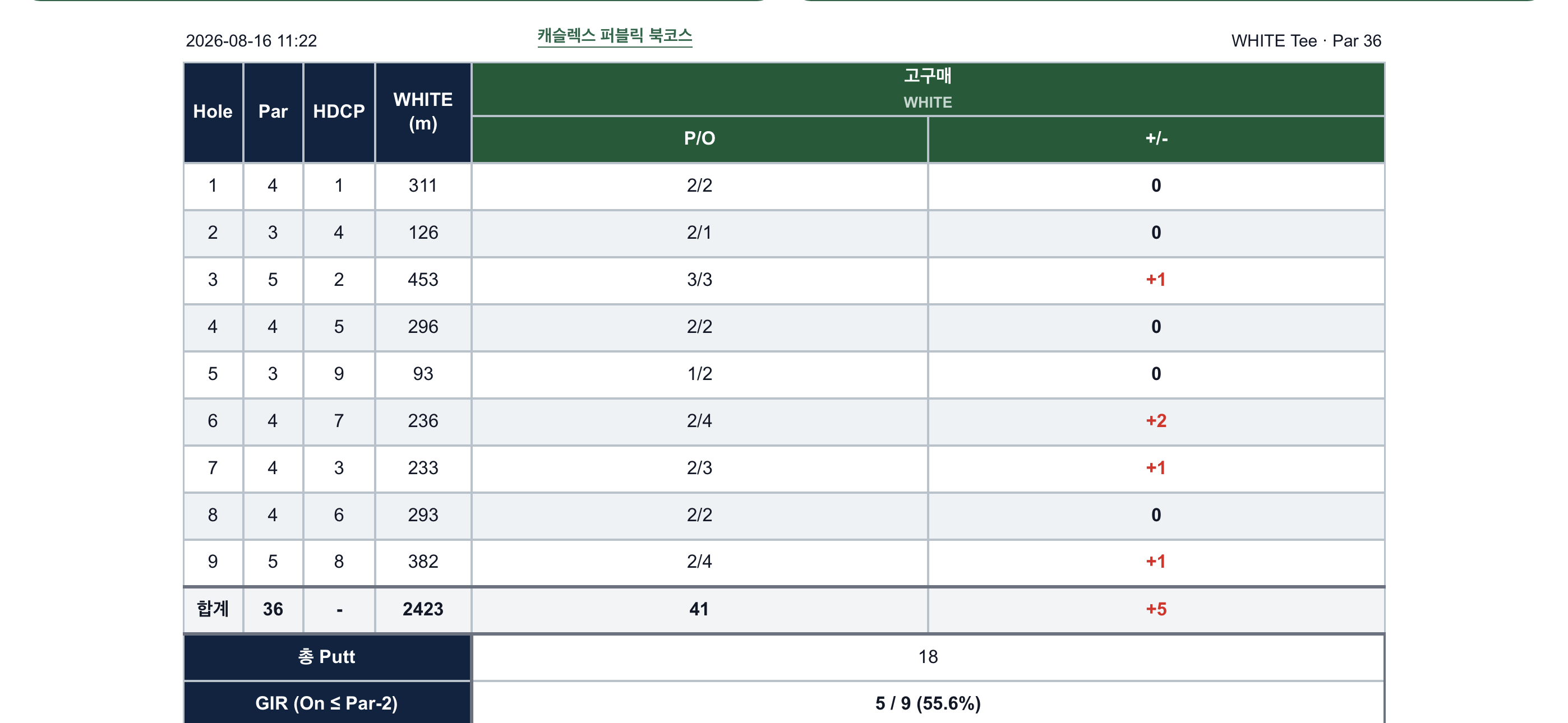 Hole, Par, HDCP, 거리, P/O, +/-, 총 Putt와 GIR을 보여주는 Build 16 가로 스코어카드